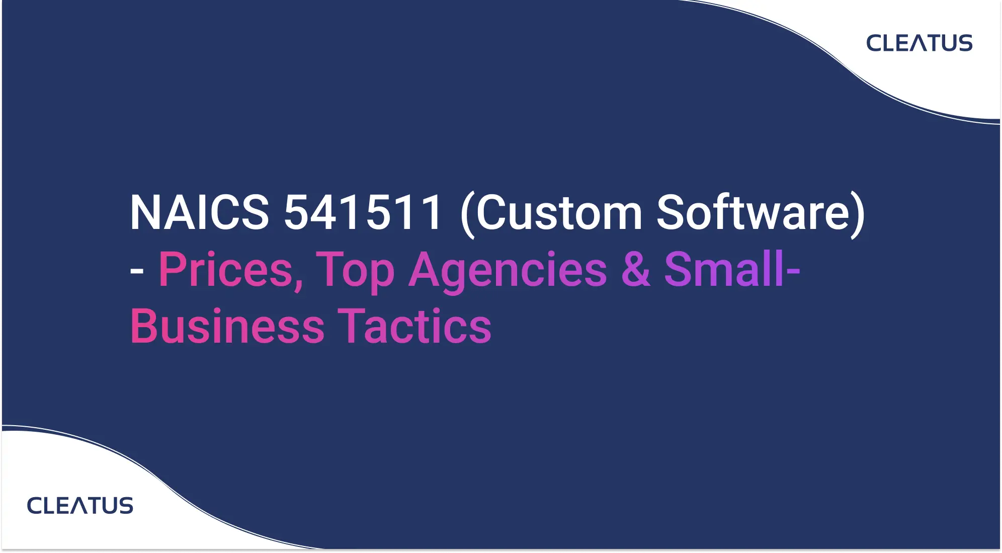 NAICS 541511 (Custom Software) - Prices, Top Agencies & Small-Business Tactics