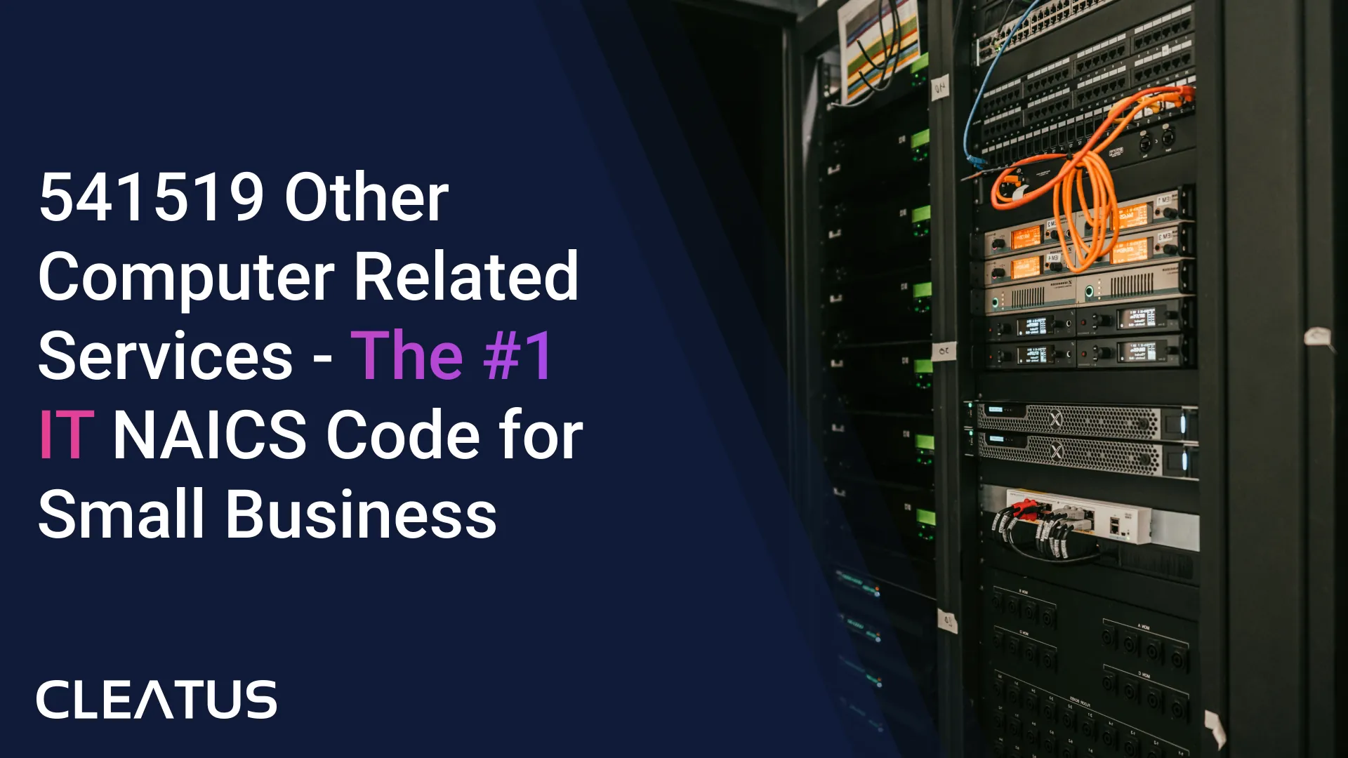 NAICS 541519 (Other Computer Related Services) - The Federal Government's Go-To IT Services Code in 2026