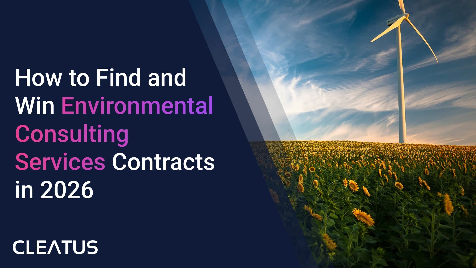 NAICS 541620 (Environmental Consulting Services) - Buyers, Contracts, and Small-Business Playbook