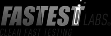 FastestLabs logo
