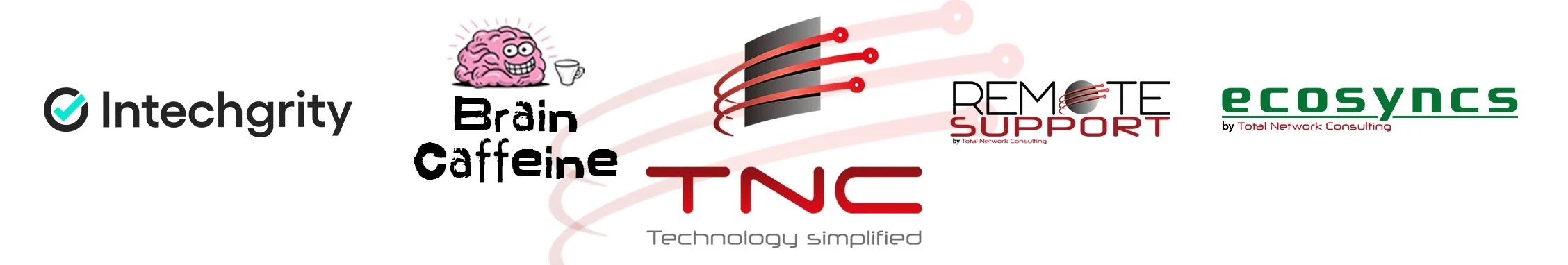 Total Network Consulting and sister brands: Intechgrity, Brain Caffeine, Remote Support, Ecosyncs